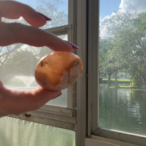 Flower Agate Palmstone - Picture 6 of 6